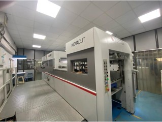 Automatic die cutter